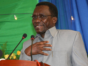 Tanzanian Prime Minister Mizengo Pinda