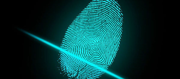 Unlocking the future of online security with biometrics