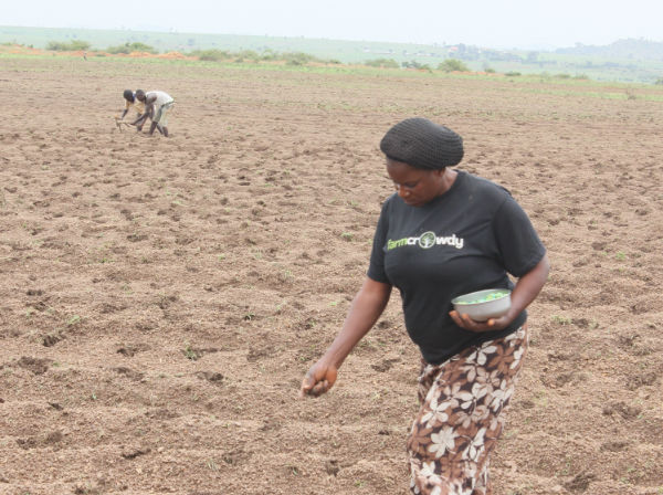 Nigerian digital agritech platform awarded $325,000 grant from GSMA.