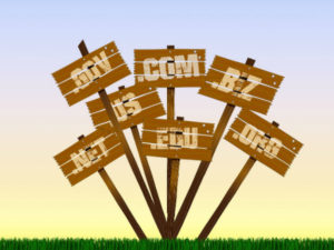 8 South African Domain Types you can choose from