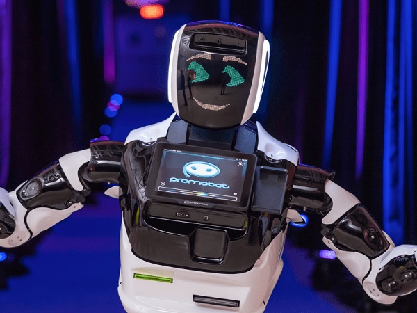 CES 2019: Robot struck down by self-driving Tesla