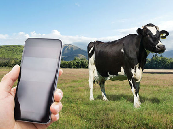 FarmRanger uses tech to tackle security for livestock farmers