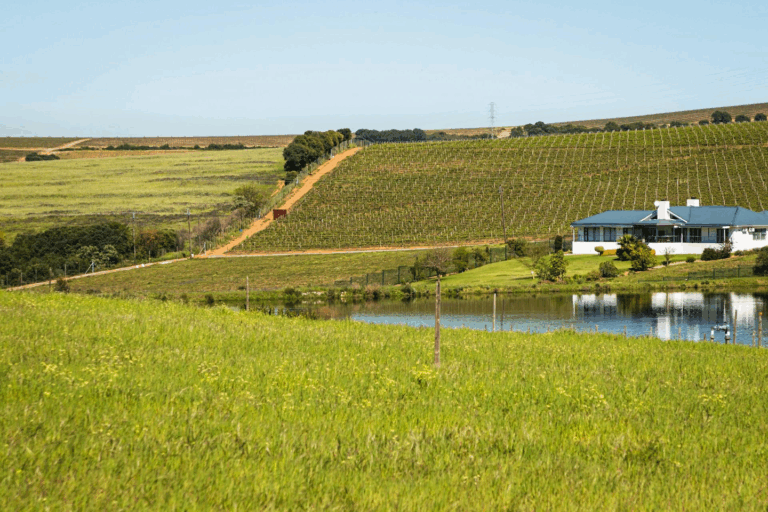 A small farm in South Africa